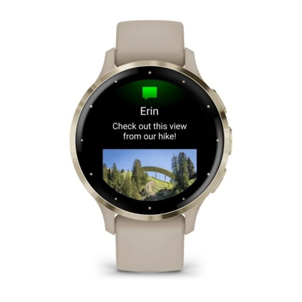 Часы Garmin Venu 3S Soft Gold French Silicon Gray 010-02785-02