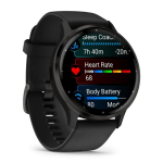 Умные часы Garmin VENU 3 Slate 010-02784-01