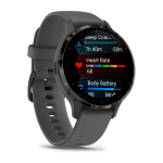 Умные часы Garmin VENU 3s Slate Pebble/Gray 010-02785-00