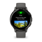 Умные часы Garmin VENU 3s Slate Pebble/Gray 010-02785-00