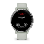 Умные часы Garmin VENU 3s Silver Sage/Gray 010-02785-01