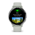 Умные часы Garmin VENU 3s Silver Sage/Gray 010-02785-01