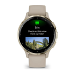 Умные часы Garmin VENU 3s Soft Gold Grench/Gray 010-02785-02