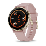 Умные часы Garmin VENU 3s Soft Gold Dust/Rose 010-02785-03
