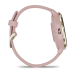 Умные часы Garmin VENU 3s Soft Gold Dust/Rose 010-02785-03