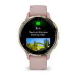 Умные часы Garmin VENU 3s Soft Gold Dust/Rose 010-02785-03