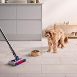 Dyson Omni Glide (6)