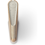 Bang & Olufsen Beosound Emerge Gold (6)