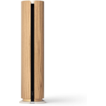Bang & Olufsen Beosound Emerge Gold (7)