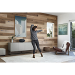 Bowers & Wilkins Formation Wedge (3)