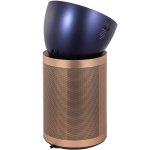 Dyson Purifier Big+Quiet Formaldehyde BP04 (10)