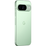 Google Pixel 9 Wintergreen1