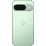 Google Pixel 9 Wintergreen3