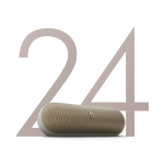 Beats Pill6