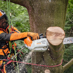 Аккумуляторная пила Stihl MSA 220 T — изображение 5