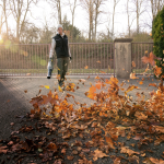 Воздуходувка Karcher LB 930/36 Bp — изображение 2