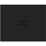 Подарочный набор Blackwing x Moleskine Atelier Set — изображение 4