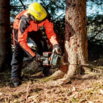 Цепная пила Metabo MS 36-18 LTX BL 40 601613850 — изображение 3