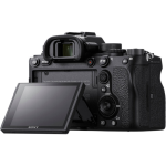 Фотоаппарат Sony Alpha ILCE-9M2 Body — изображение 6